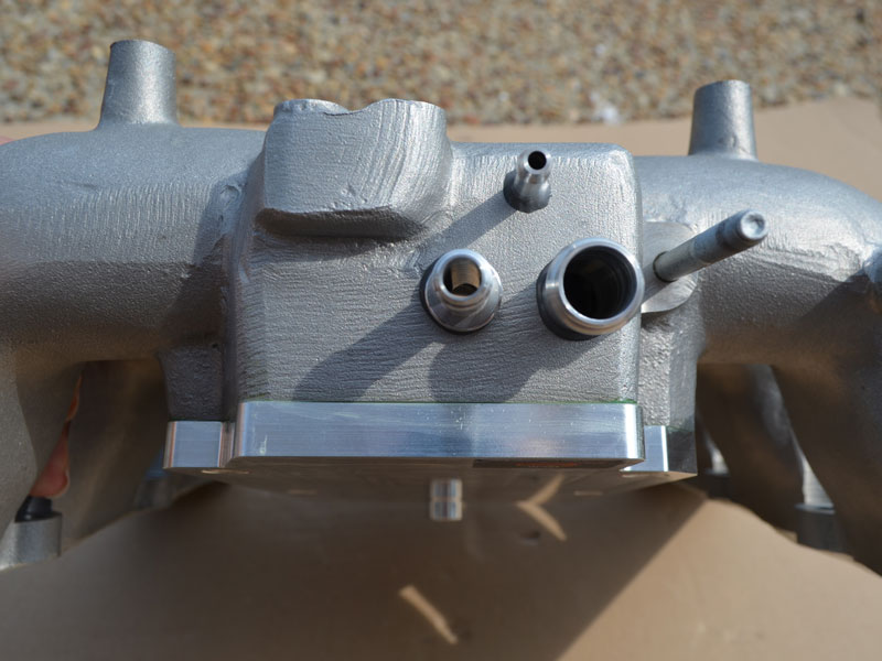 loba_7